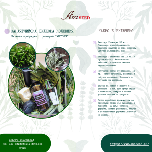 Билкова прегръдка с розмарин – Мистика